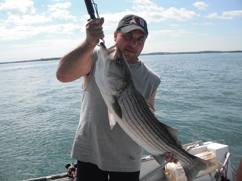 Striper Fishing Fishing Report - IL Fish Finder