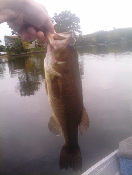 bass