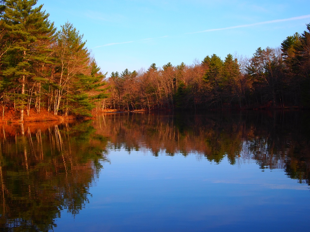 Ballards Pond