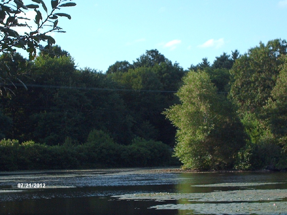 Spruce Pond